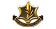 לוגו צבא